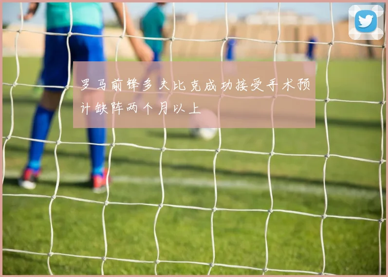 罗马前锋多夫比克成功接受手术预计缺阵两个月以上